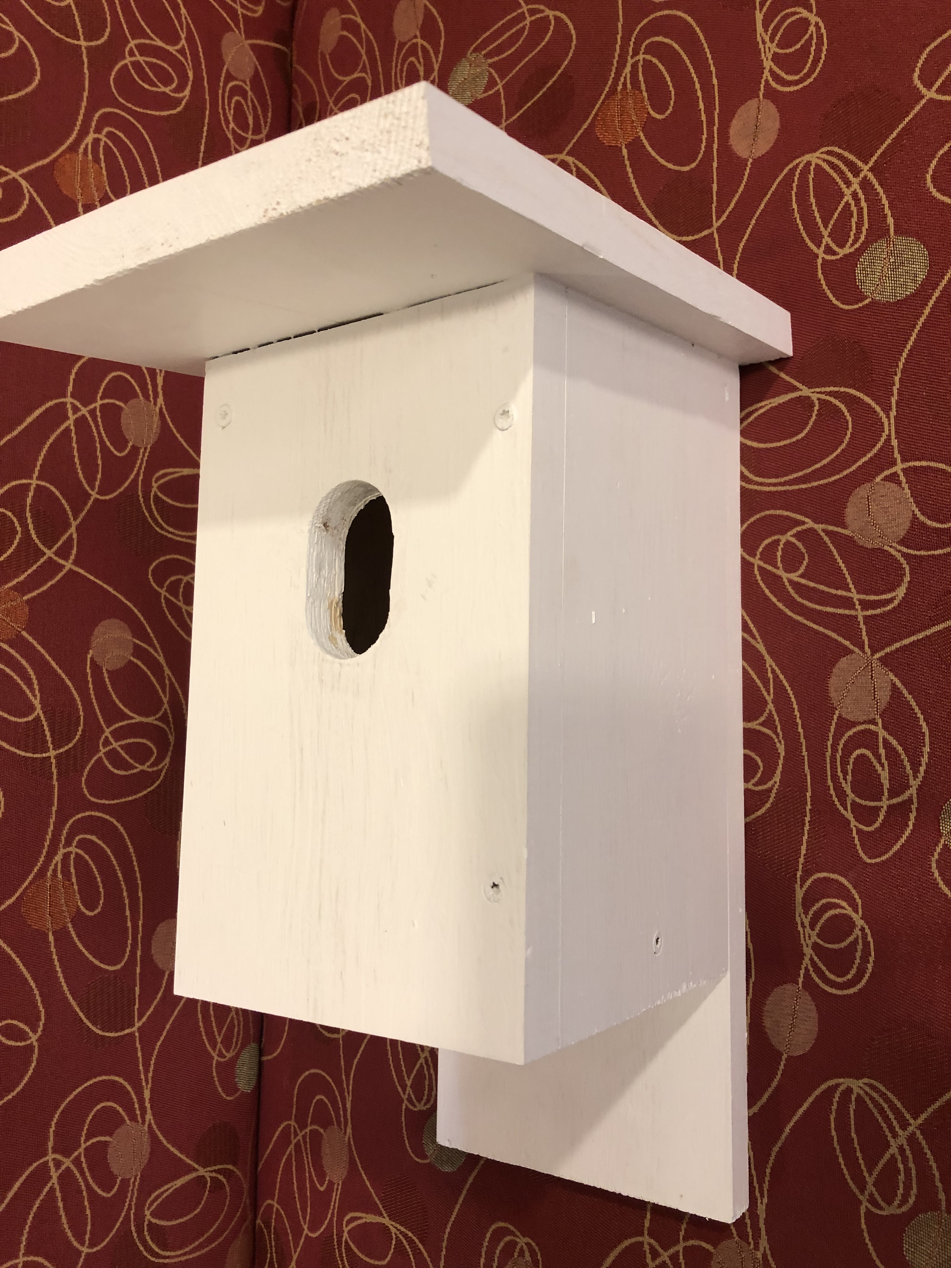 Build a bluebird nest box Apr 27